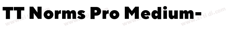 TT Norms Pro Medium字体转换